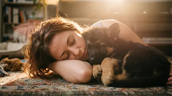 A touching, warm-lit photograph of a puppy parent and German Shepherd puppy deeply asleep on the floor, cuddled together in complete trust.